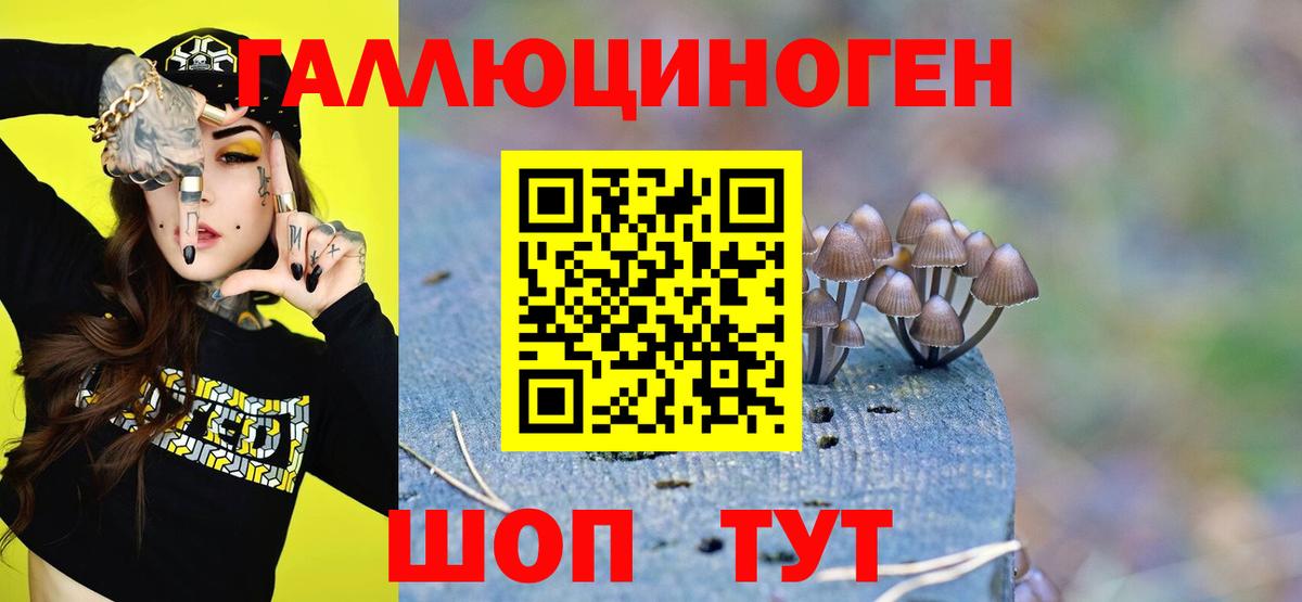 Карпинск  Галлюциногенные грибы Magic Shrooms  Вход с VPN  Галлюциногенные грибы мухоморы 